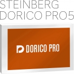 Steinberg DoricoPro4 도리코프로4 일반용 | 정식수입품