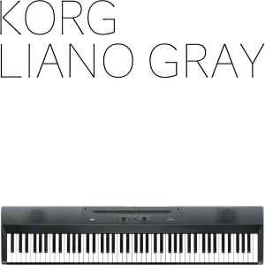 Korg Liano | Metallic Gray | 220V정식수입품