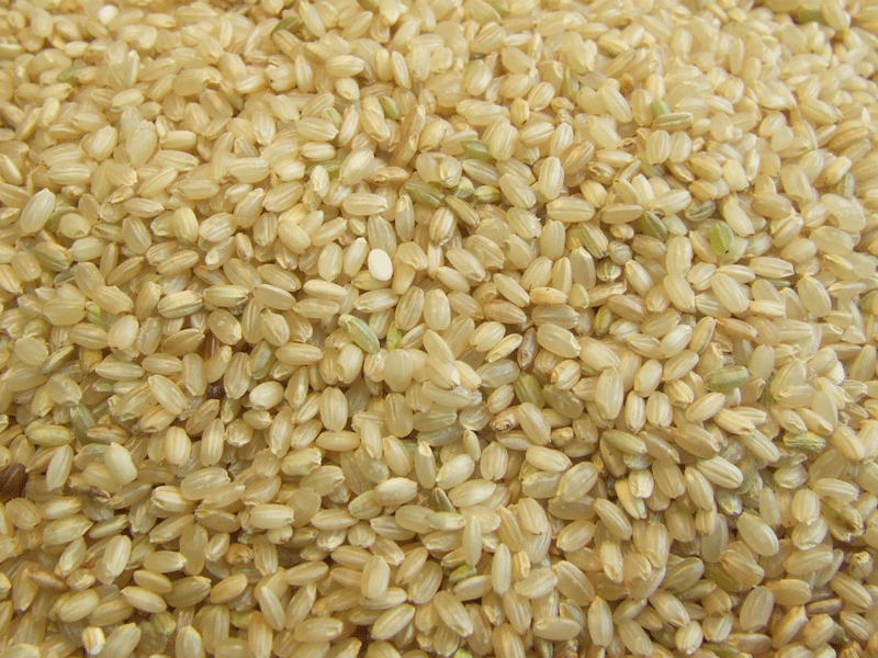 몸에좋은느낌  쌀눈이 살아있는 유기농 현미 4.2kg